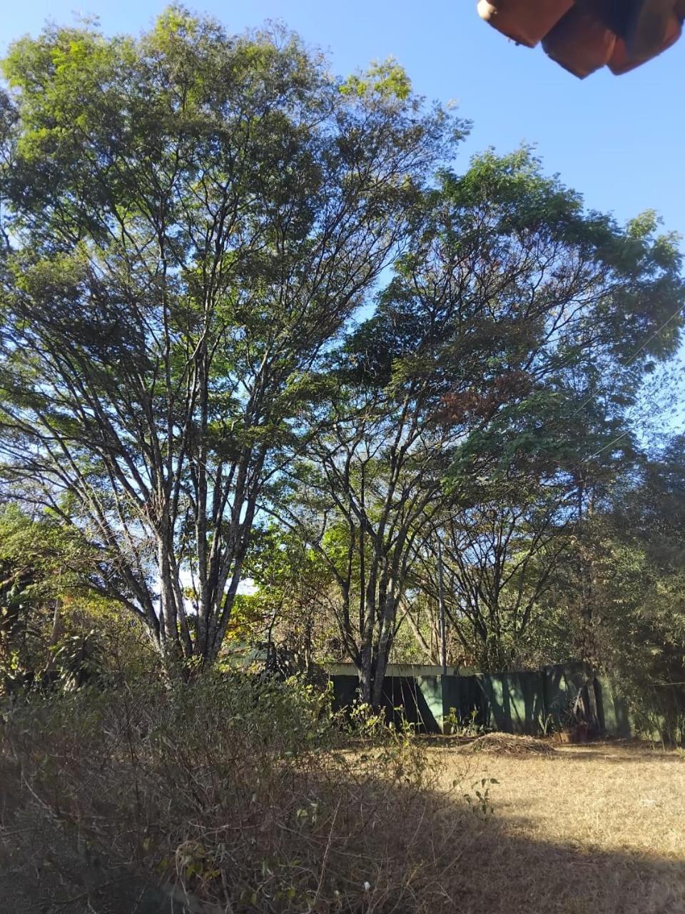 Sitio Bemtevi - Jockey Camping - Uberlandiaヴィラ エクステリア 写真